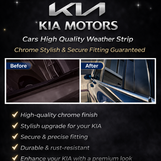 door window trim chrome sehgalmotors.pk