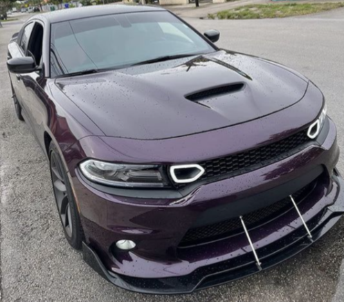 Dodge Charger 2015-23 Horse Grill Lamp Pig Nose Lamp NEON LED